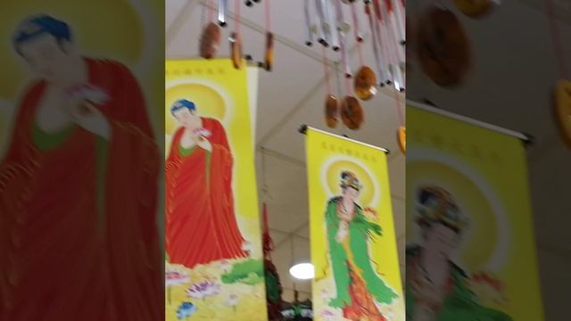 Огромная музыка ветра #музыкальныеинструменты #вьетнам #акрида #музыка #звуки #звукветра #колокольчи