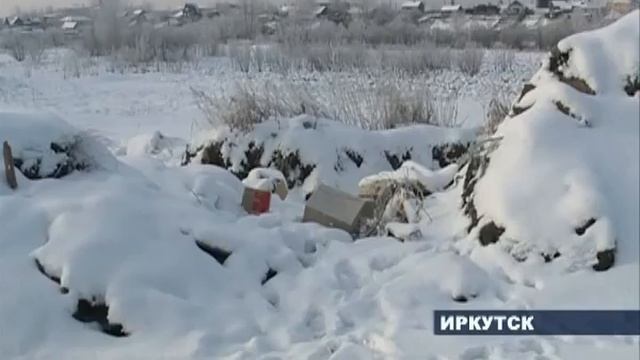 Добровольные дружины