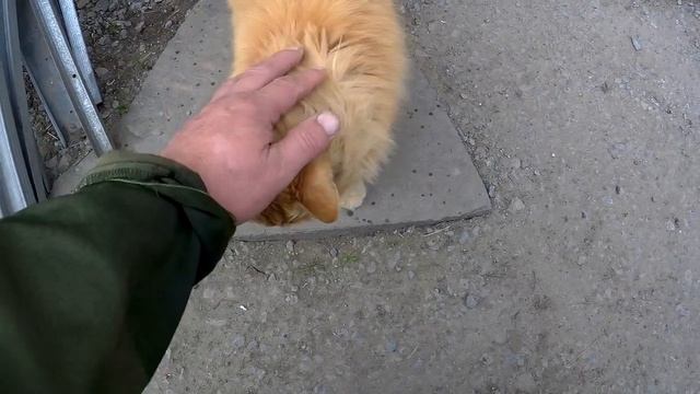 ЖИВЕМ В ДЕРЕВНЕ!!ЖЖЁМ,РЕМОНТИРУЕМ,ОБРЕЗАЕМ,УБИРАЕМ!!!ВСЁ КАК ВСЕГДА!!Деревенский влог