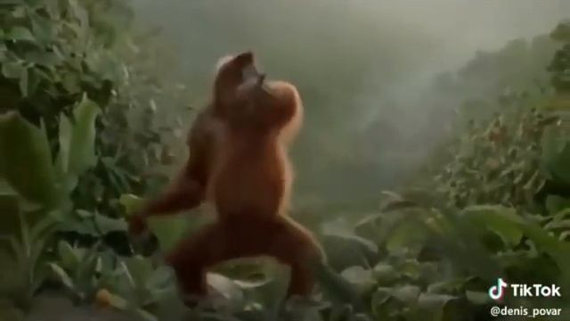 твой друг посли двух рюмак