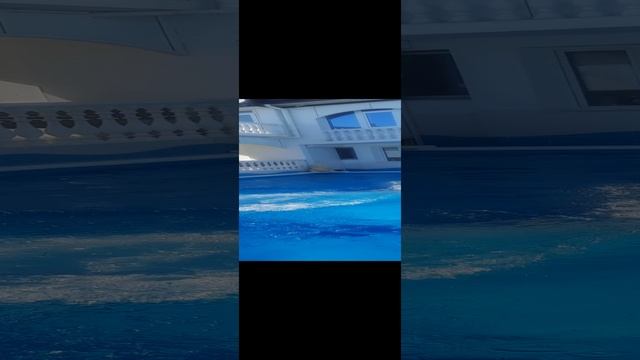 20240622_163822.mp4