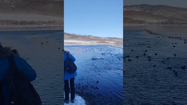 озеро Халактырское
