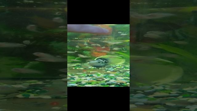 1000186526.mp4