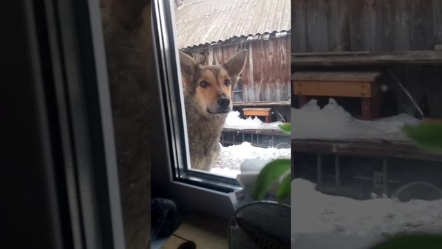 Я тоже хочу! 😁