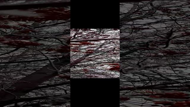 27-11-2024