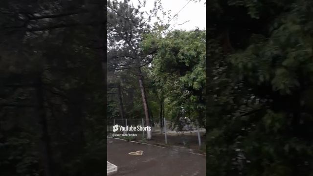 А НАС ОПЯТЬ ПОЛИВАЕТ ДОЖДЬ!!Shorts