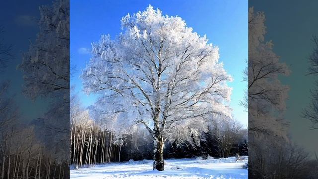 Пушкин А. С. - Белая береза.mp4