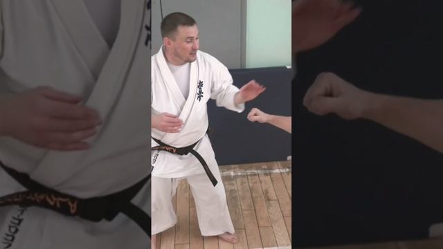 Кёкусинкай / Сихан Алексей Горохов / Сборы / Центр Поларбудо / Мурманск / 2017 г. (1)