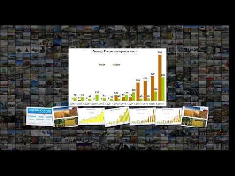 Экспортные достижения АПК России в 2018 г. Часть 1 растениеводство