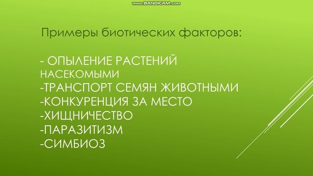 урок на тему  "Экологические факторы среды"