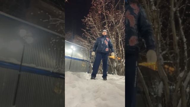 Ицюань / Кёкусинкай / Ченбао и Фуань Чжуан / Фуань Фали / Перемещения (27.11.24)