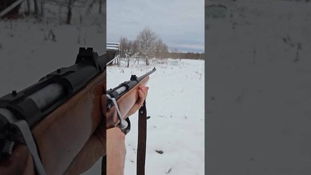 5,6x39 VS Windshield