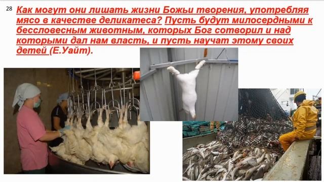 ТЕМА 12 И ТОГДА СВЯТИЛИЩЕ ВОССТАНОВИТСЯ ЧАСТЬ 3