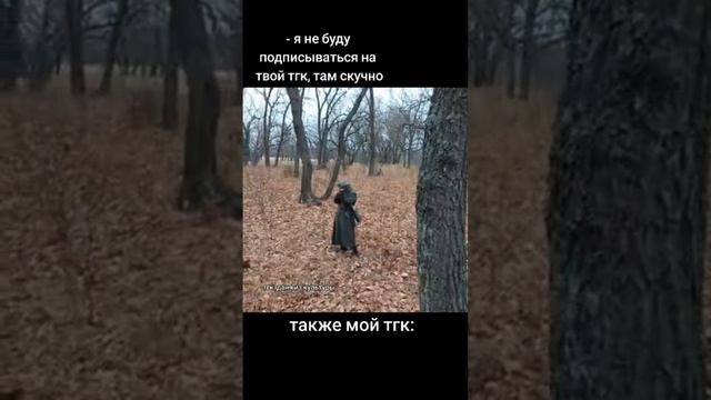 типичные будни амс