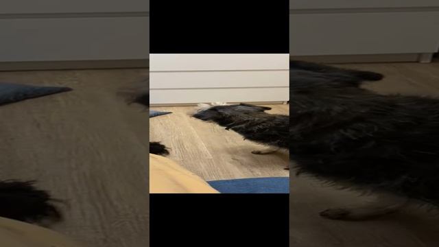 1000046378.mp4