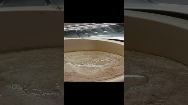 1000005128.mp4