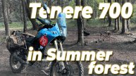 Yamaha Tenere 700 in a Pine Summer Forest | Part 2