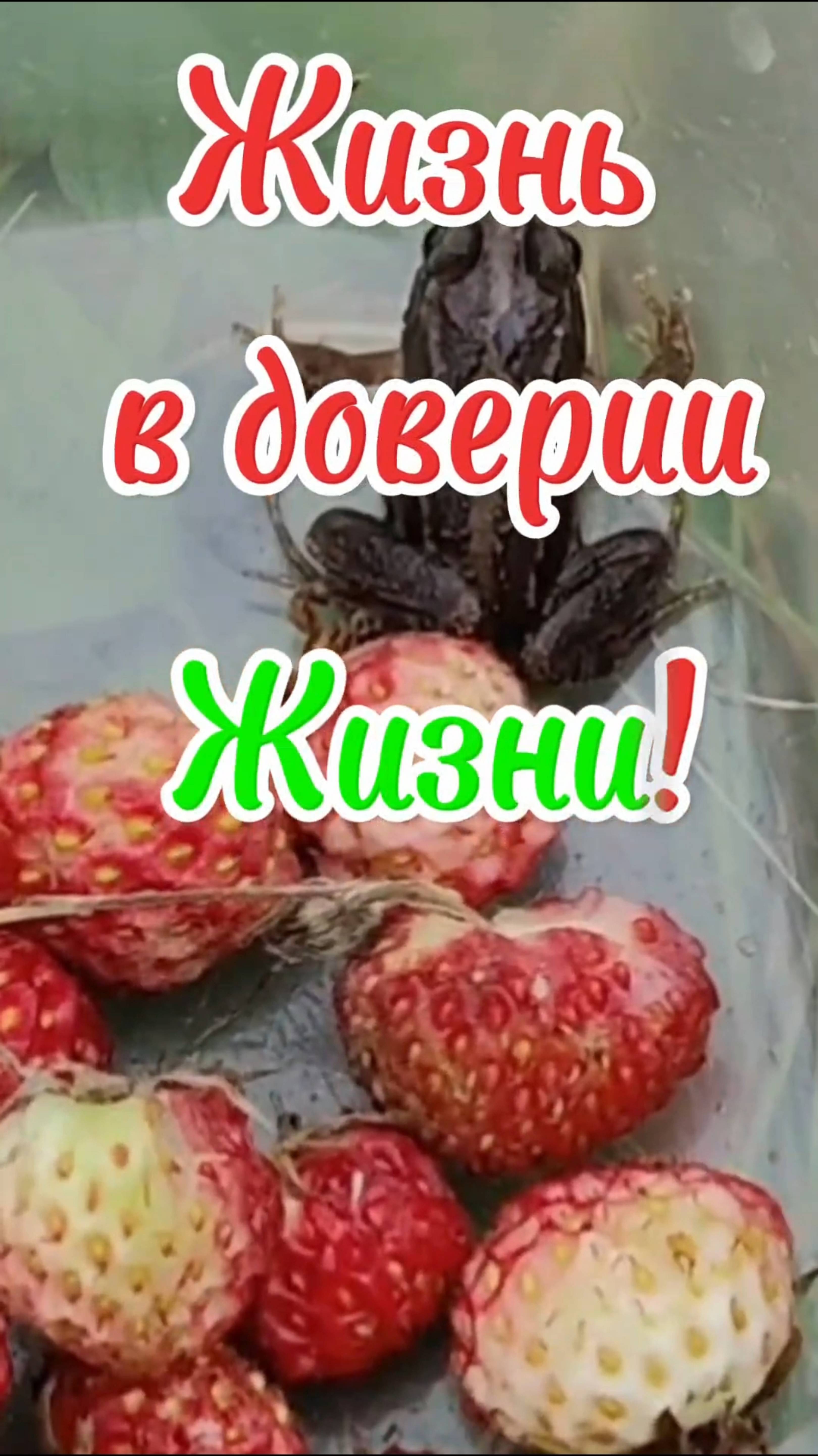 Жизнь в доверии Жизни!
# осознанность, # доверие жизни, # поток жизни.