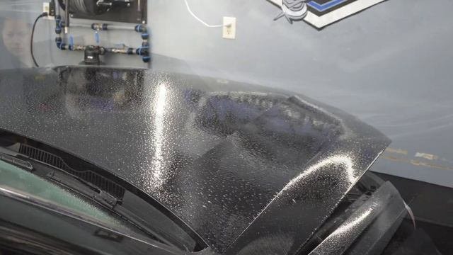 STEK DYNOshield Paint Protection Film Installation