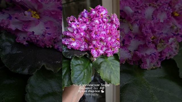 🐇🌸NiK-Королевская Тиара вариант Люкс КФ.