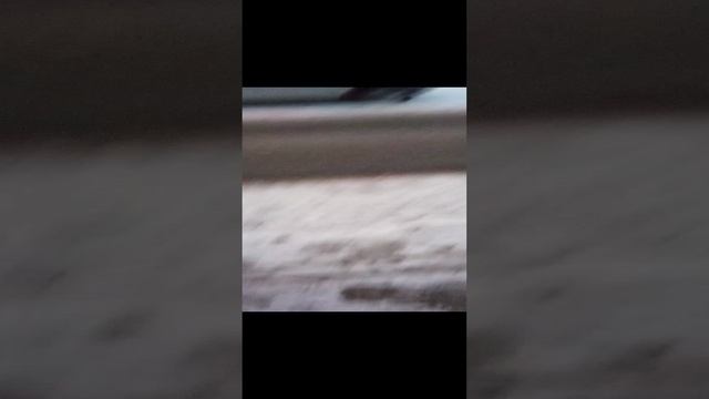 прогулка с Якуром 2 часть