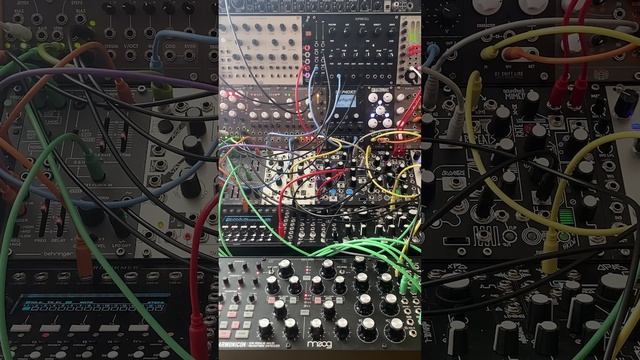 WEEDANALOG eurorack modular_jam_3
moog subharmonicon symphony