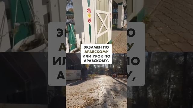 Пренебрежение Кораном в пользу школы. Часть 4