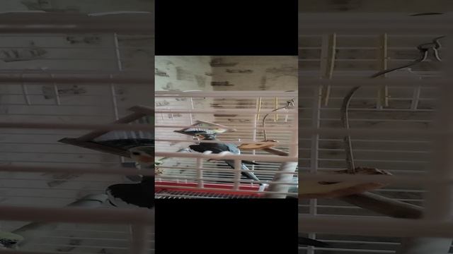 1000047887.mp4