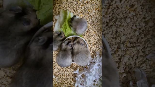 1000326949.mp4