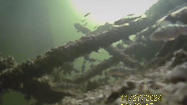 1000033778.mp4Волга гл.3м.27.11.2024г.
