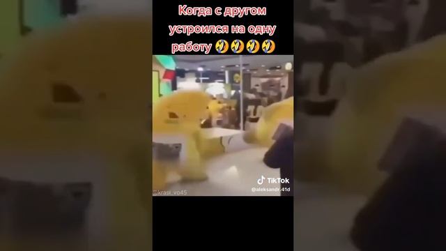 мемы