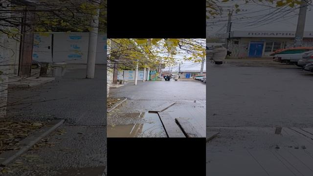 Краснодар в конце ноября, осень, +4°. Природа и город 🌿🍁