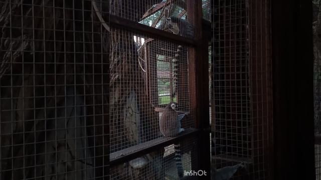 Парк Лога, лето 2024