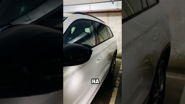 Новые дилерские Skoda Kodiaq в наличии в Москве