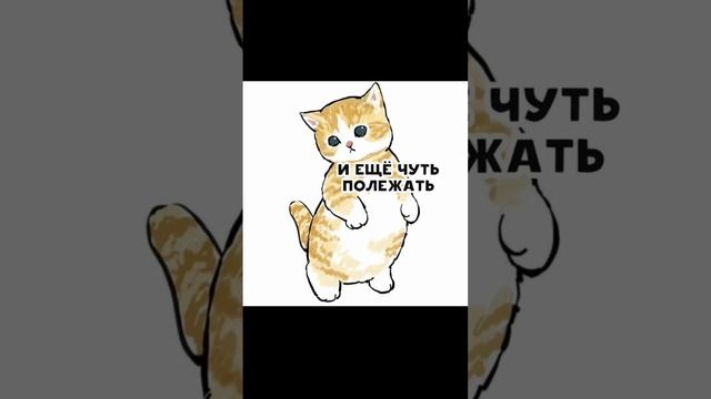 Планы (котики Мофу Санд)