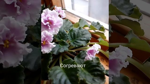 1000206863.mp4
