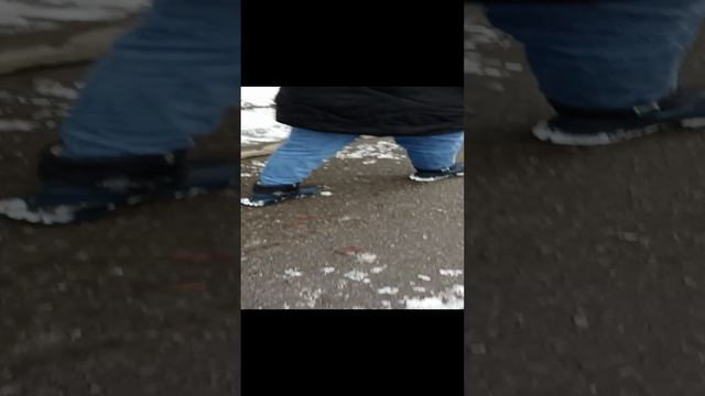 новая прогулка с Якуром 3 часть
