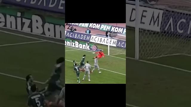 1000006825.mp4