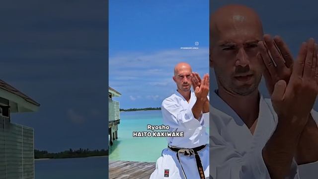 VID_20241127_035714_959