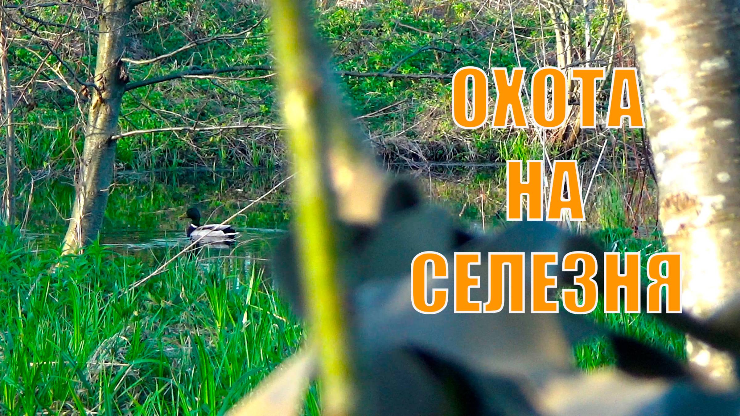 Охота на СЕЛЕЗНЯ. Пришлось побегать