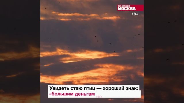 Зимние приметы // Вечерняя Москва
