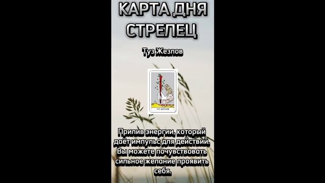 Карта дня СТРЕЛЕЦ. В описании подробно
