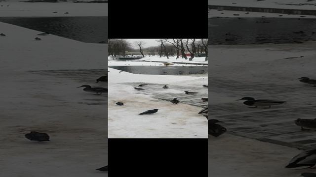 VID_20240125_140610