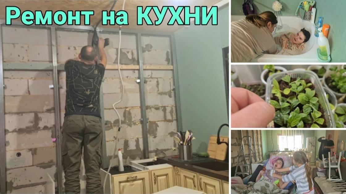Начали ремонт на кухне. Искупали дашу в ванной. Ухаживаю за черенками Гортензии. Семейный ВЛОГ.
