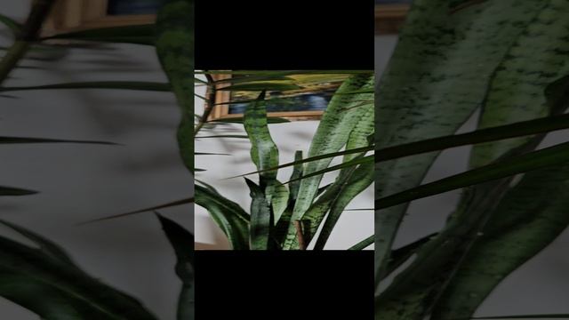 20241128_142248