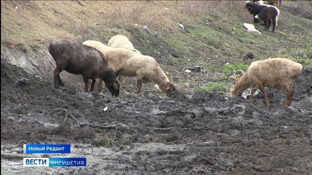 Алханчуртский канал Ингушетии экстренно перекрыт