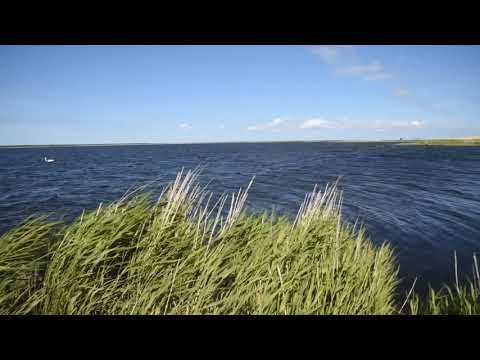 Эстония. Место отдыха Кеэму (Keemu puhkekoht).