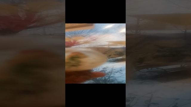 Наступление зимы
