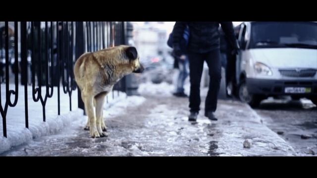 Игорь Шаров  "Три вокзала" (Official Video)