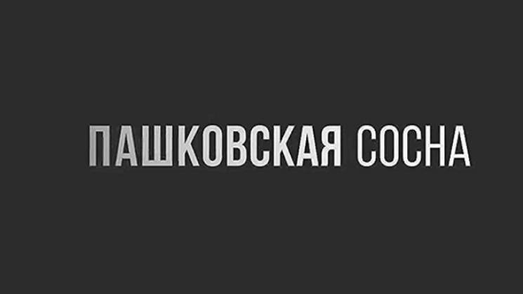 Губернская Вятка. Пашковская сосна. Памятник природы